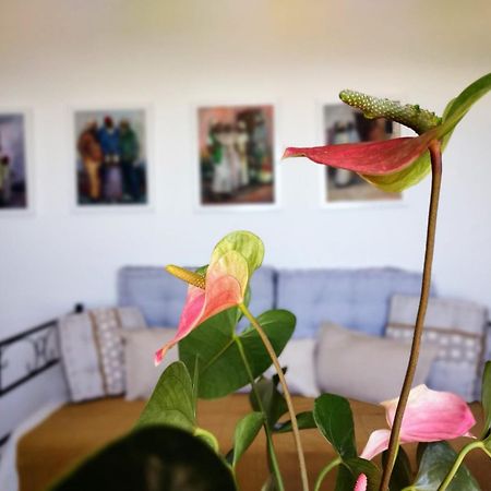 Casa Arte De Сорвилан Экстерьер фото
